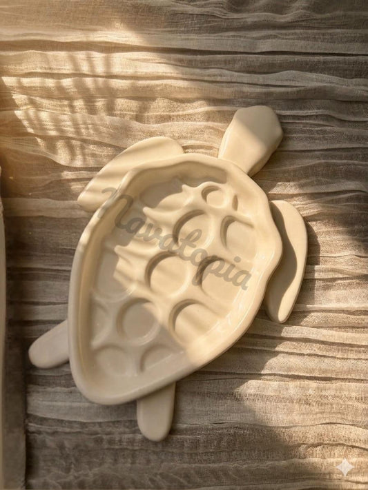 Spa turtle